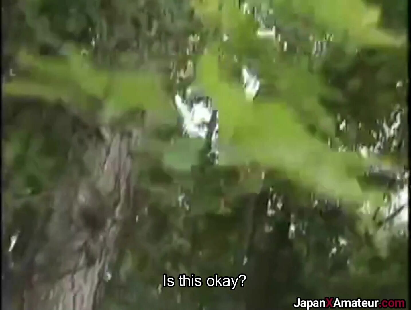 Vintage - Japanese Girl Sucking Dick Outdoors